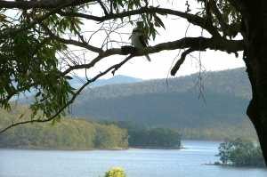 HINZE DAM 2006(015)